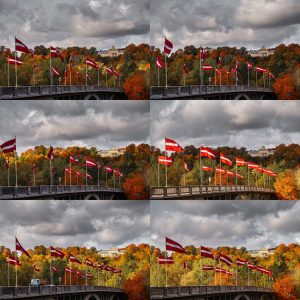 Timelapse WEB (141)