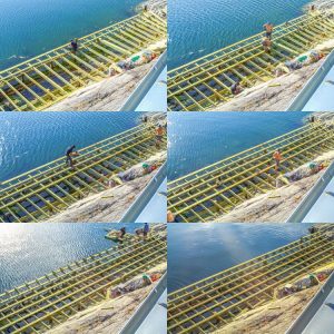 Timelapse WEB (143)